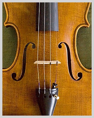 detail of the front of a violin